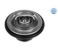 Termostato Refrigerante Meyle 0282800004 Meyle-original: True To Oe. per Bmw