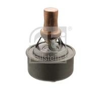 Termostato 09336 FEBI BILSTEIN per RENAULT 19 I 19 II Chamade 19 I Chamade 19 II