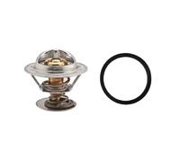 EPS 1.880.307 Termostato motore