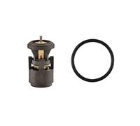 FACET 7.8420 Termostato motore