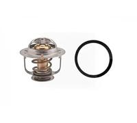 EPS 1.880.657 Termostato motore