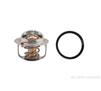 EPS 1.880.679 Termostato motore