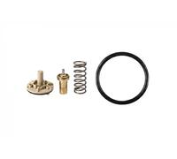 Termostato 1.880.689 EPS per VW SEAT AUDI SKODA