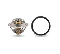 FACET 7.8946 Termostato motore