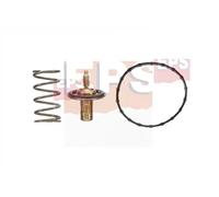 EPS 1.880.950 Termostato motore