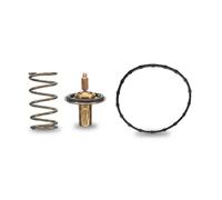 EPS 1.880.950 Termostato motore