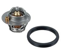 Febi Bilstein Termostato refrigerante 105992 per Ford Focus, C‑MAX (Ford USA)