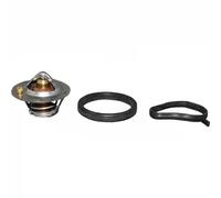 JP Group Termostato motore 1514600810 con guarnizione 82°C per Ford, Mazda, Volvo