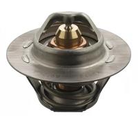Febi 17694 Termostato