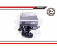 Termostato BMW 1 (F20) 3 (F30)