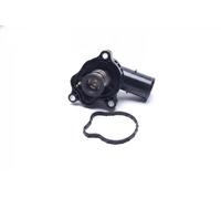 Termostato 20SKV119 ESEN SKV per JEEP GRAND CHEROKEE IV