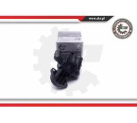 ESEN SKV Termostato motore