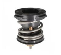 SWAG 30 10 4981 Termostato motore