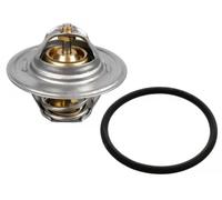SWAG 30 91 8286 Termostato motore