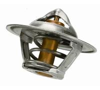 Termostato 3000.83 BorgWarner (Wahler) per JEEP CADILLAC BUICK CHEVROLET PONTIAC