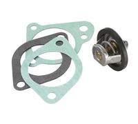 Termostato 3021.92D50 BorgWarner (Wahler)