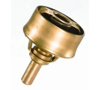 Termostato, refrigerante WAHLER 3029.89