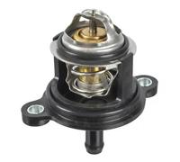 SWAG 33 10 2009 Termostato motore