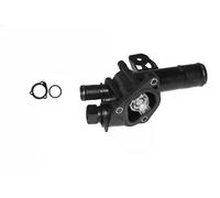 Sasic Termostato motore 3304006 per Renault e Nissan