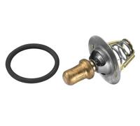 Termostato 3469.91D BorgWarner (Wahler) per RENAULT CLIO I 19 II 19 I Chamade