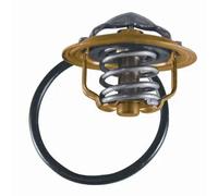 Termostato 3472.87D BorgWarner (Wahler) per AUDI SEAT VW SKODA MITSUBISHI