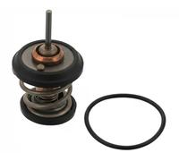 FEBI FE34782 Febi Netti,