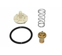ERA 350600A Termostato motore