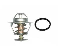 MAGNETI MARELLI 352317100300 Termostato motore