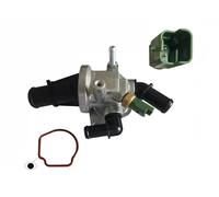 Magneti Marelli Termostato motore 352317101650 per Opel, Suzuki