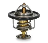 Termostato 38-0H-H01 ASHIKA per KIA HYUNDAI