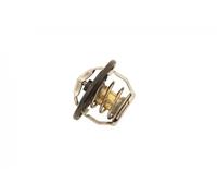 JAPKO 38W09 Termostato motore