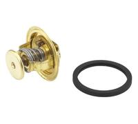 Termostato 4022.82D BorgWarner (Wahler) per SAAB JAGUAR AUSTIN NISSAN ISUZU