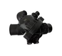 Termostato 410087.97D0 BorgWarner (Wahler) per BMW X5 X6