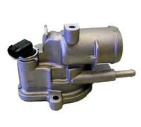 WAHLER Termostato motore