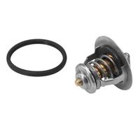 Termostato 410178.82D BorgWarner (Wahler) per TOYOTA HIACE IV Furgone PREVIA I