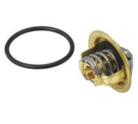 Termostato 410396.82D BorgWarner (Wahler) per AUDI SEAT