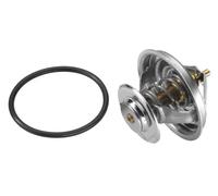WAHLER 4105.79D Termostato motore