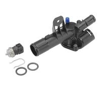 Termostato 411042.89D BorgWarner (Wahler) per RENAULT NISSAN