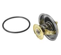 WAHLER 4116.87D1 Termostato motore