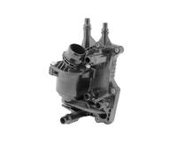 Termostato 411700.88D BorgWarner (Wahler) per BMW 5 5 Touring 6 Gran Turismo 3 7