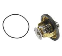 Termostato 4174.79D BorgWarner (Wahler) per RENAULT FIAT IVECO RENAULT TRUCKS