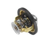 Termostato 4174.82D BorgWarner (Wahler) per FIAT PEUGEOT CITROËN IVECO MULTICAR