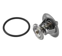 BorgWarner (Wahler) Termostato, Refrigerante compatibile con AUDI FORD MULTICAR