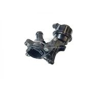 Termostato 48700 3RG per AUDI VW