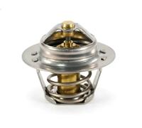 FAE 5205089 - Termostato, Refrigerante