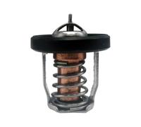 Termostato 60 adatto for S DF8A 9 15 20 25 30A 17670-94J01 17670-94J00 17670-94J02