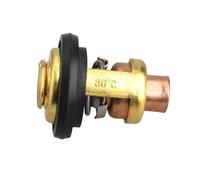 Termostato 60 Gradi for Motori marini a Tempi F5-F15 66M-12411-01 66M-12411-00