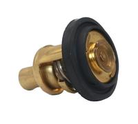 Termostato 62℃ 143 °F adatto for motori fuoribordo YA da 9,9 15 25 30 40 55 CV OE 6F5-12411-01 6F5-12411-02 6F5-12411-03