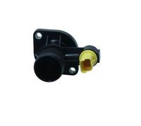 MAXGEAR Termostato motore