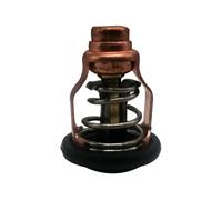 Termostato 6D9-12411-00-00 Adatto for motore fuoribordo 4 tempi F80B F100D 6D9-12411-00 6D9-12411
